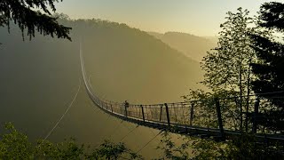 Geierlay Hängeseilbrücke 4K [upl. by Seda291]