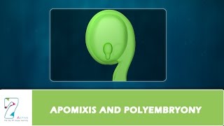 APOMIXIS AND POLYEMBRYONY [upl. by Namlaz]