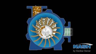 NASH Liquid Ring Vacuum Pump  How It Works [upl. by Arytahs431]