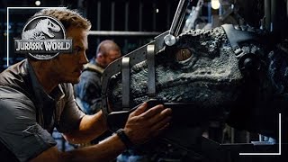 Claire Asks Owen For Help  Jurassic World 2015  Screen Bites [upl. by Edmanda936]