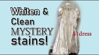 SUPER EASY How to Whiten a Thrifted Wedding Dress  Removing Mystery Stains SHORTS [upl. by Lorrie997]