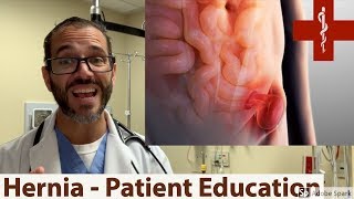 Hiatal Hernia Relief Effective Manual Therapy Techniques amp Assessment  ErikDaltoncom [upl. by Edris772]