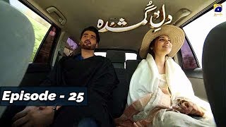 DileGumshuda  EP 25  1st Nov 2019  HAR PAL GEO DRAMAS [upl. by Osnola539]