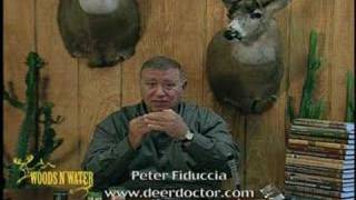 Deer Calling Tips Fawn Distress Bleat Sequence [upl. by Nayar]