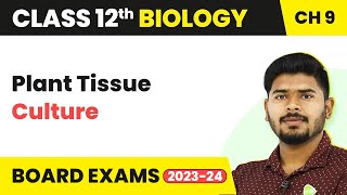 Plant Tissue Culture  Strategies for Enhancement in Food Production  Class 12 Biology 202223 [upl. by Lleryd603]