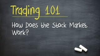 Trading 101 How Does the Stock Market Work [upl. by Macrae437]