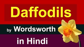 Daffodils by William Wordsworth in Hindi  i wandered lonely as a cloud in hindi [upl. by Hertha]