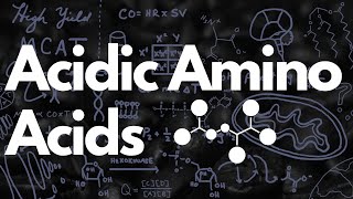 Aspartate Family and Asparagine Metabolism – Biochemistry  Lecturio [upl. by Alyose]