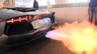 The BEST LAMBORGHINI AVENTADOR Engine SOUNDS Ever [upl. by Okechuku]