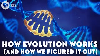 How Evolution Works And How We Figured It Out [upl. by Arhsub]