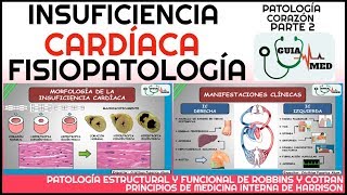 INSUFICIENCIA CARDÍACA FISIOPATOLOGÍA  GuiaMed [upl. by Tommy]