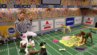 The Puppy Bowl [upl. by Ahsinod]