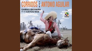 Corrido De Lucio Vázquez Los Pavo Reales [upl. by Coffee]