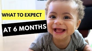 6 Month Developmental Milestones  Baby Developmental Milestones [upl. by Zorana]