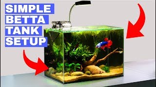 Building a Simple Betta Tank TUTORIAL [upl. by Kironde555]