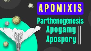 Apomixis and Polyembryony class 12 । BotanyTv [upl. by Adihaj]