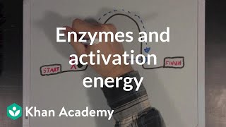 Enzymes and activation energy  Biomolecules  MCAT  Khan Academy [upl. by Nissa821]