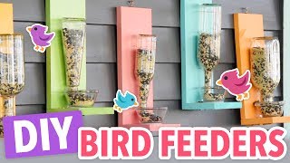 DIY Bird Feeders [upl. by Enom]