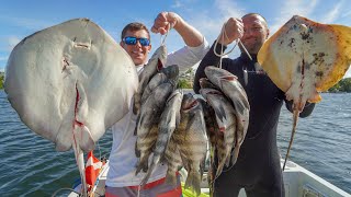 VENOMOUS Stingray Catch Clean Cook [upl. by Eeimaj]