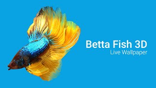 Betta Fish 3D v20 Live Wallpaper [upl. by Canfield452]