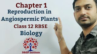 Class 12 Chapter 1 Reproduction in Angiospermic Plants RBSE Biology [upl. by Koblas]