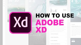 How to use Adobe XD  QUICK TUTORIAL [upl. by Nitin]