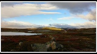 Hardangervidda National Park Norway [upl. by Atterg961]