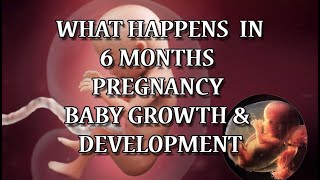 6 Months Pregnant  Pregnancy Symptoms amp Babys Development [upl. by Lednar884]