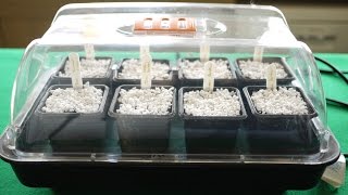 How To Use A Heated Propagator [upl. by Nnylrebma211]