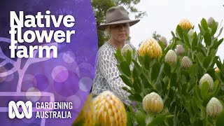 Growing native flowers on a large scale  Native Australian Plants  Gardening Australia [upl. by Yeniffit844]