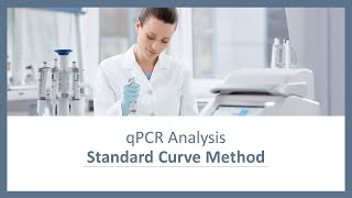 qPCR Analysis  Standard Curve Method [upl. by Zetrom]