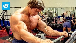 How To Train For Mass  Arnold Schwarzeneggers Blueprint Training Program [upl. by Sordnaxela701]