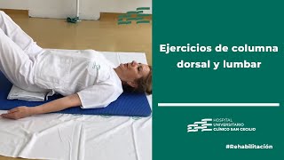 Ejercicios de columna dorsal y lumbar [upl. by Amees469]