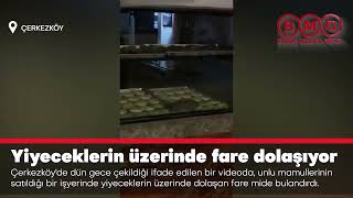 Yiyeceklerin üzerinde fare dolaşıyor [upl. by Socem]