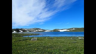 Hardangervidda 2020 [upl. by Gnen]