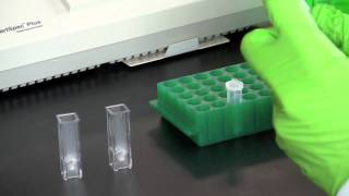 DNA Quantitation Using a Spectrophotometer [upl. by Llenyl]