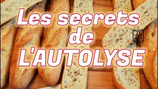 Autolyse pour le pain Mieux comprendre de la technique de lautolyse en boulangerie [upl. by Notyad]