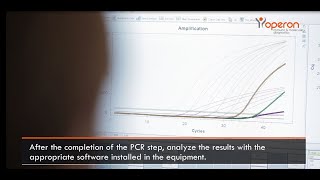 PCR Real Time qPCR procedure — OPERON [upl. by Oribella]