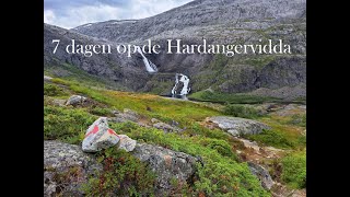 Hardangervidda 2023 [upl. by Atteyek]