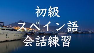 初級スペイン語会話トレーニング200  基本フレーズ聞き流し [upl. by Hendon370]