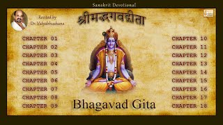 ShriMadh Bhagavad Gita Complete Recitation 0118  Dr Vidyabhushana  Geetopadesham [upl. by Nita476]