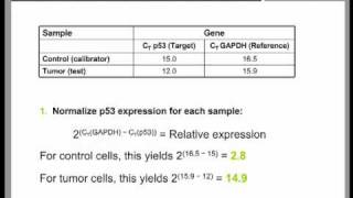 Real Time QPCR Data Analysis Tutorial part 2 [upl. by O'Neill]