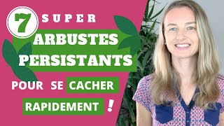 7 super arbustes PERSISTANTS pour se cacher RAPIDEMENT [upl. by Renrut796]