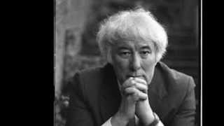 Seamus Heaney Mid Term Break [upl. by Hsima1]