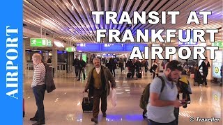 TRANSIT WALK AT FRANKFURT Airport FRA Terminal 1  Connection Flight Transfer Arriving amp Departing [upl. by Eniwtna]