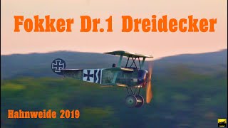 Fokker Dr1 Dreidecker  Mikael Carlson  Hahnweide 2019 [upl. by Thissa411]