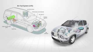 LPG Vapour System Overview [upl. by Ahsoek]