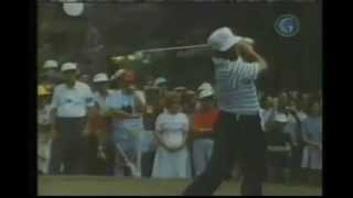 Lee Trevino  Golf Swing Compilation 4 [upl. by Anirtac]