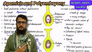 Apomixis and Polyembryony  class 12 [upl. by Truman331]