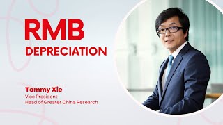 Renminbi RMB Depreciation [upl. by Enirol]